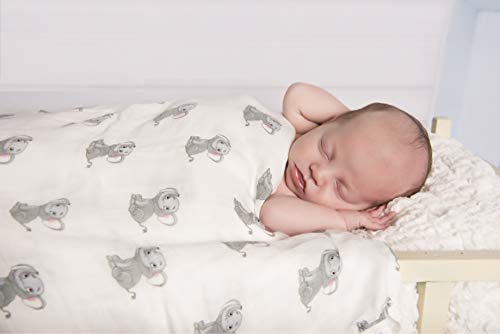שמיכת תינוקות תינוקות משיי במבוק רך משיי לבנים ולבנות, גדול 47 x 47 אינץ ', סט של 2 נושא ספארי